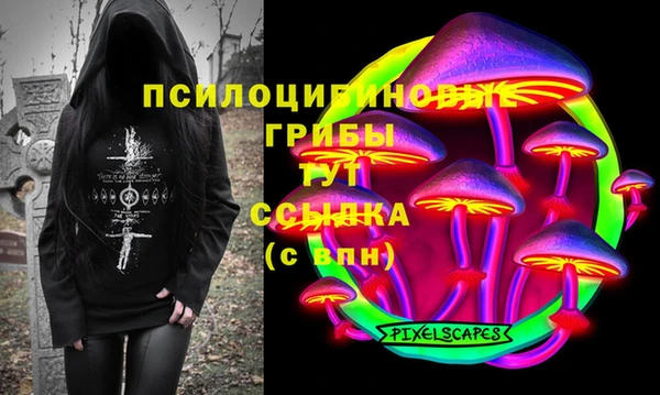 МДПВ Корсаков