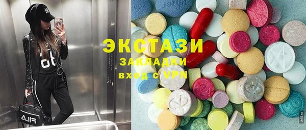 индика Краснотурьинск