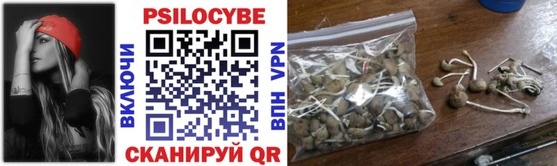 Купить где Бокситогорск Псилоцибиновые грибы Psilocybe
