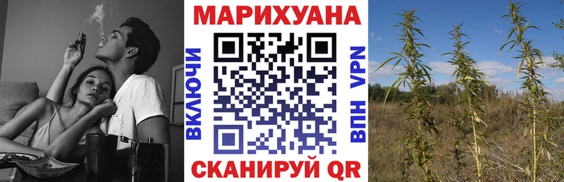 Купить  Бокситогорск  Каннабис индика 